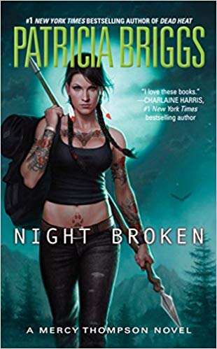 Night Broken Audiobook